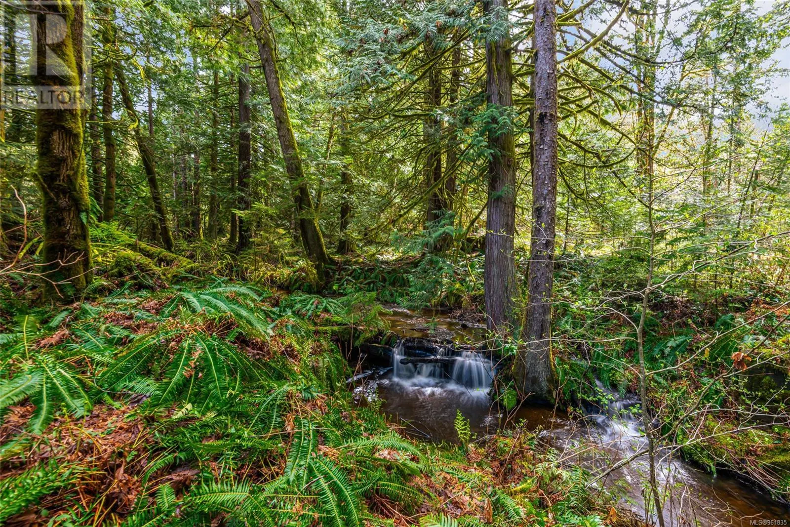 Lot 13 Island Hwy W