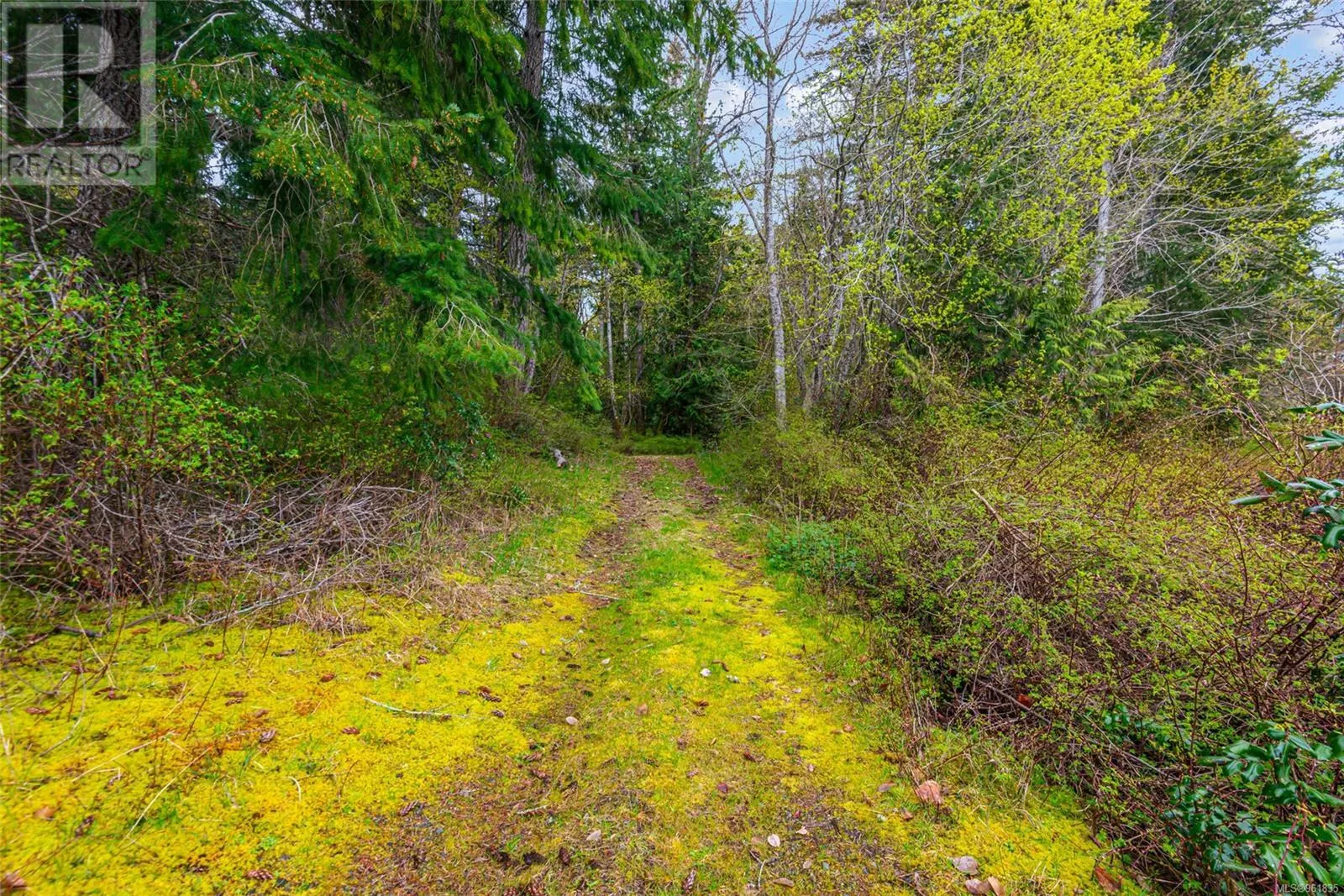 Lot 13 Island Hwy W