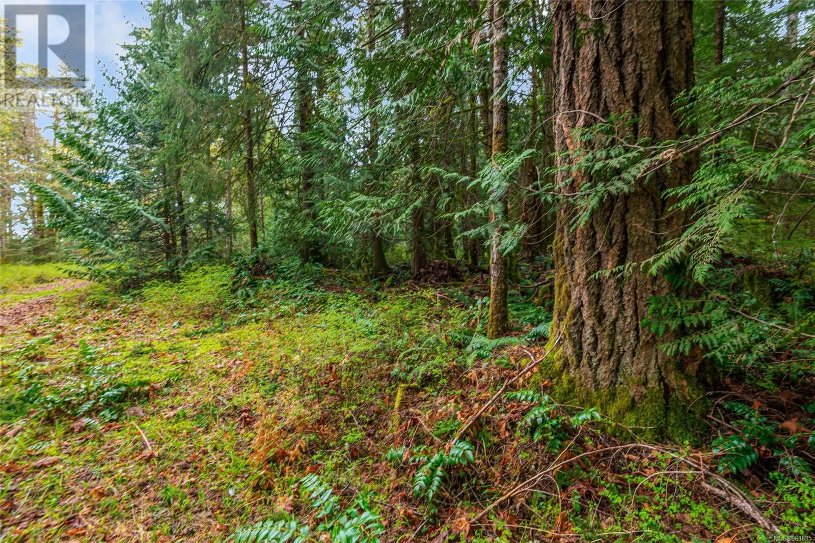 Lot 13 Island Hwy W