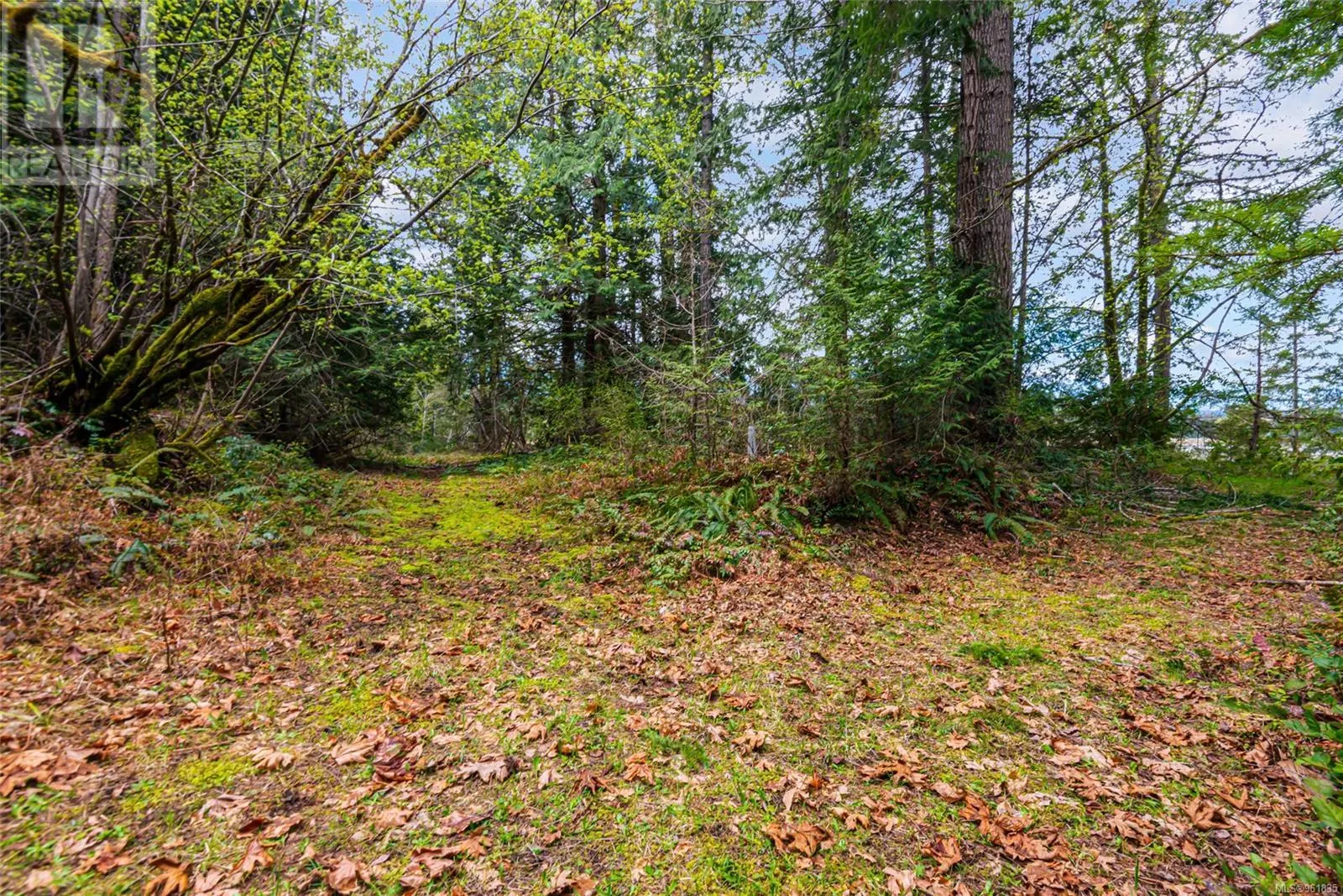 Lot 13 Island Hwy W