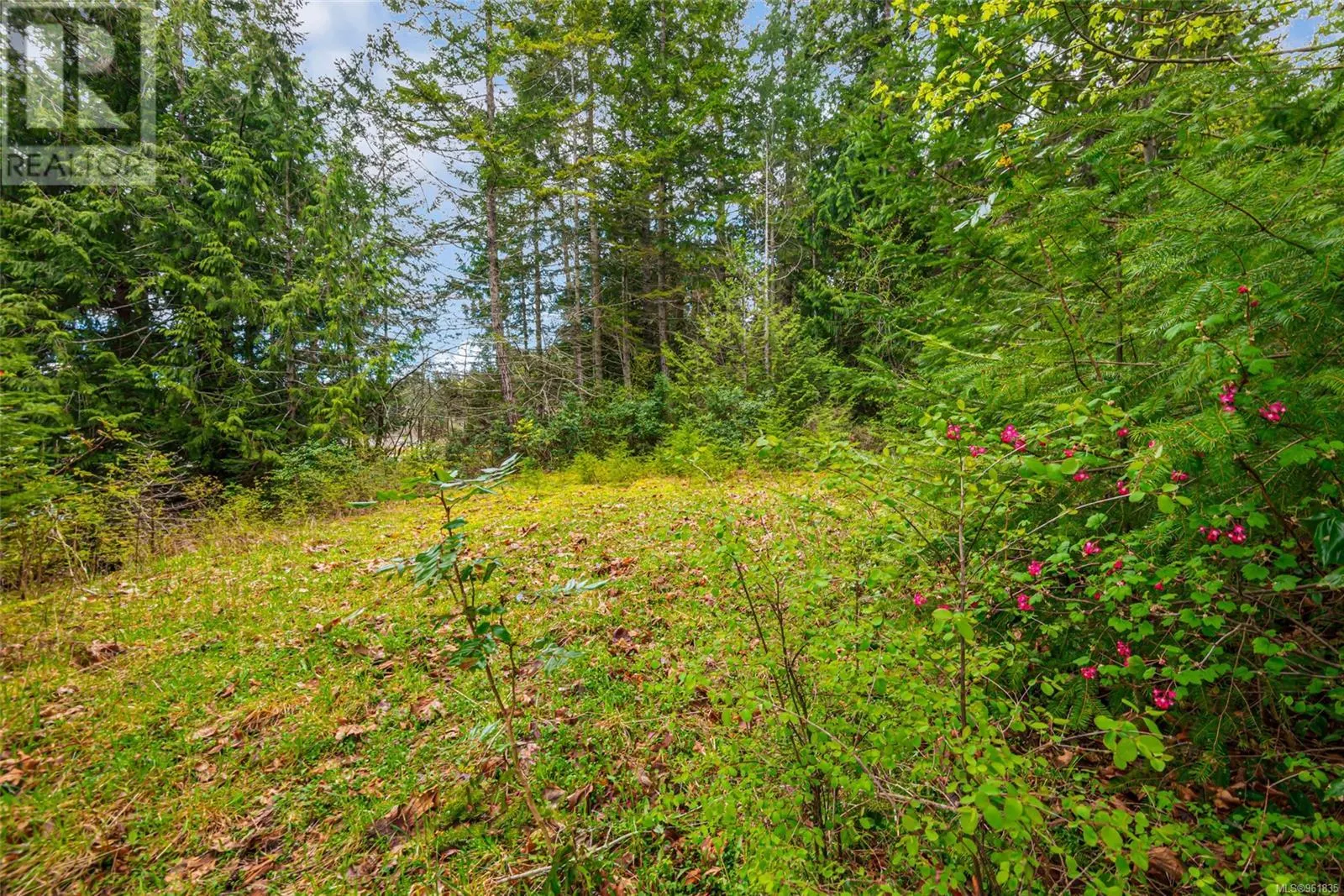 Lot 13 Island Hwy W