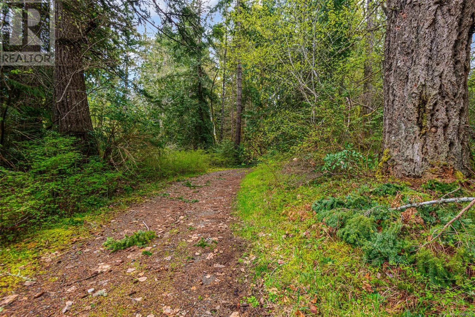 Lot 13 Island Hwy W