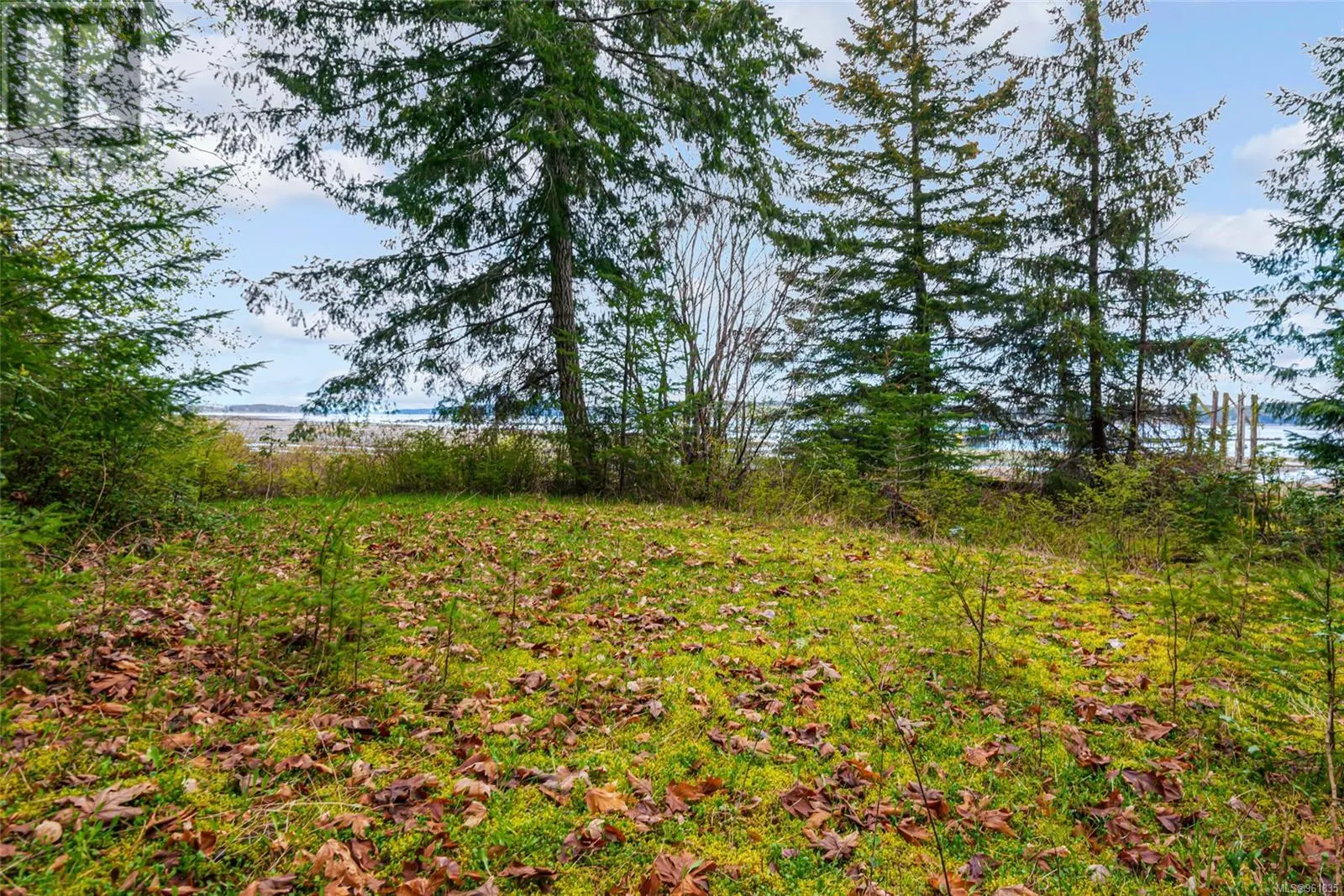 Lot 13 Island Hwy W