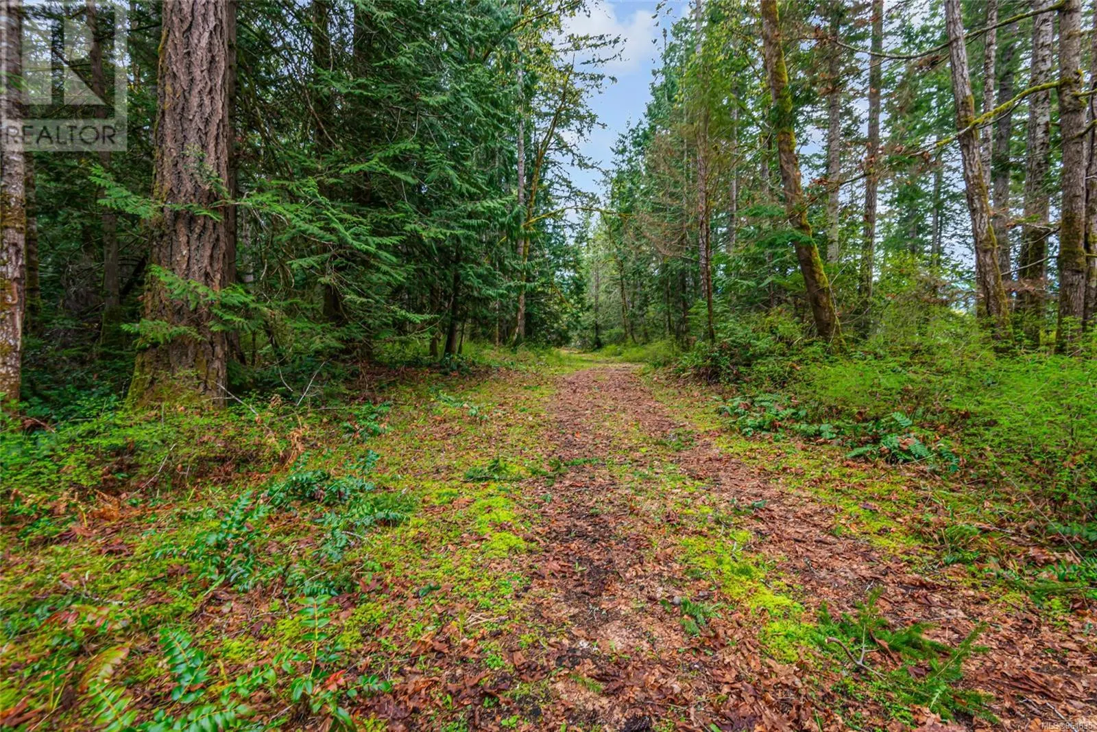 Lot 13 Island Hwy W
