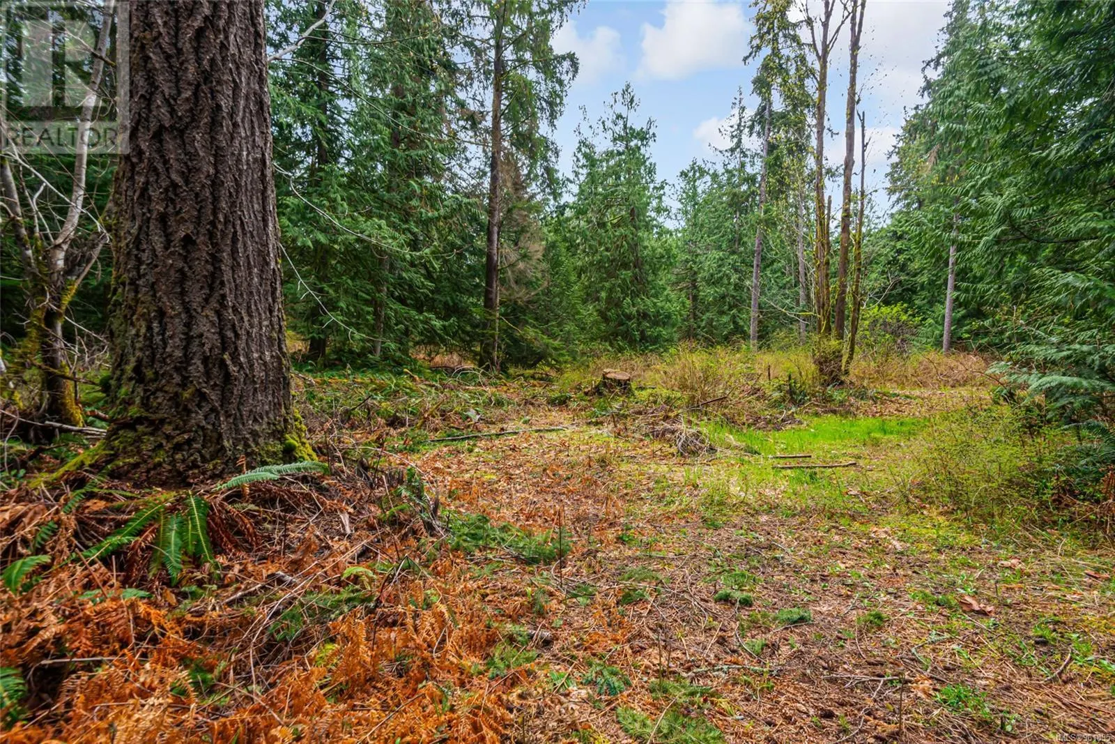 Lot 13 Island Hwy W