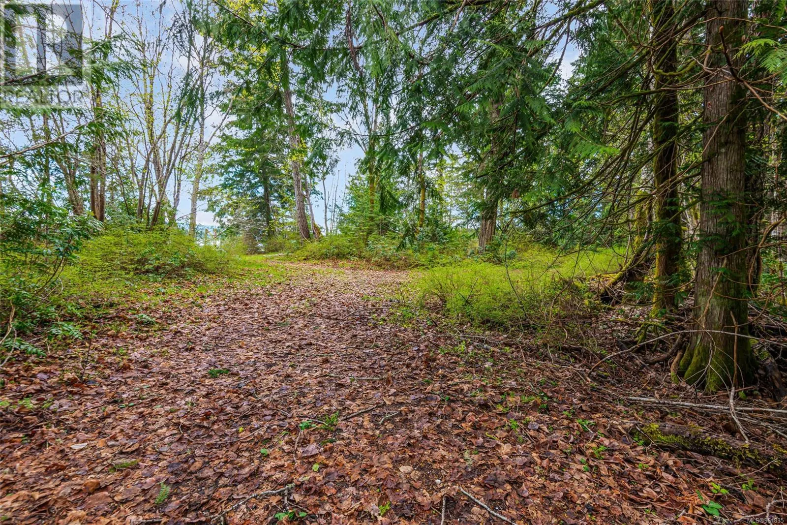 Lot 13 Island Hwy W