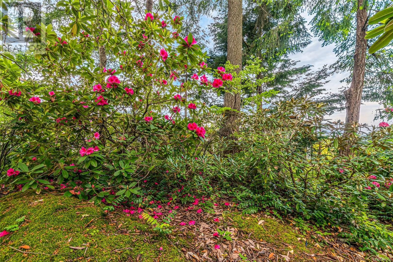 1241 Okanagan Pl