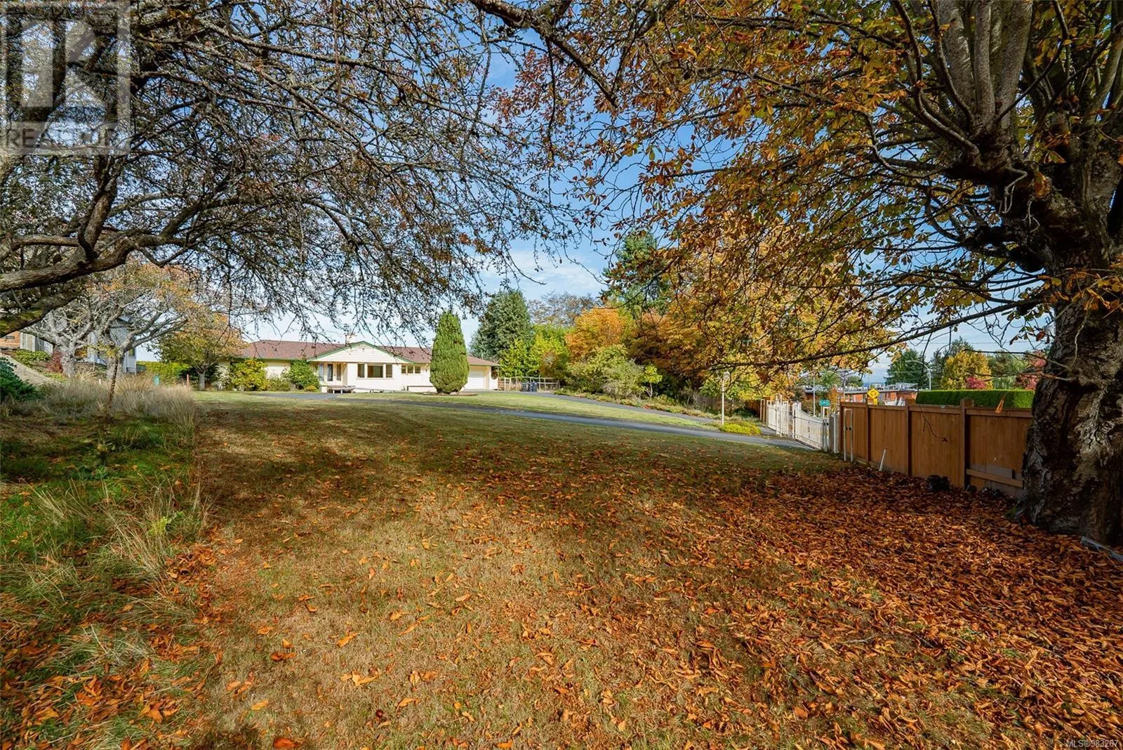 441 Memorial Ave