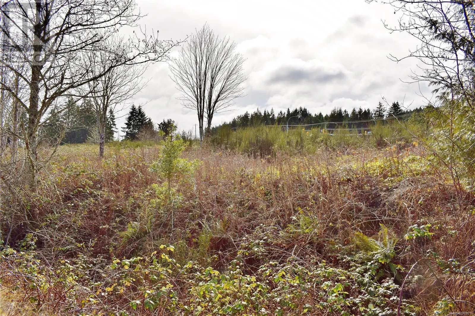 LOT 1 Frayne Rd