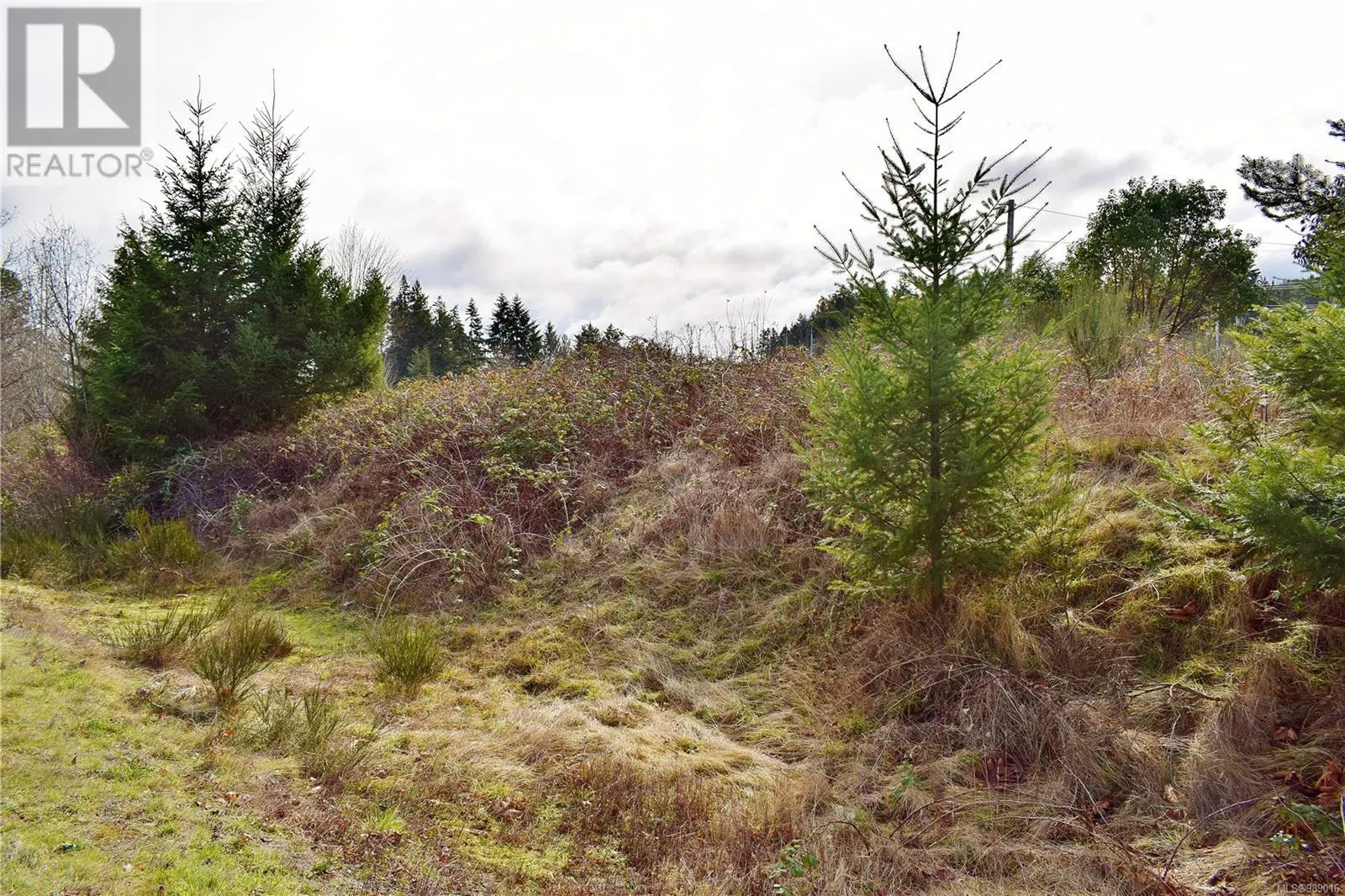 LOT 1 Frayne Rd