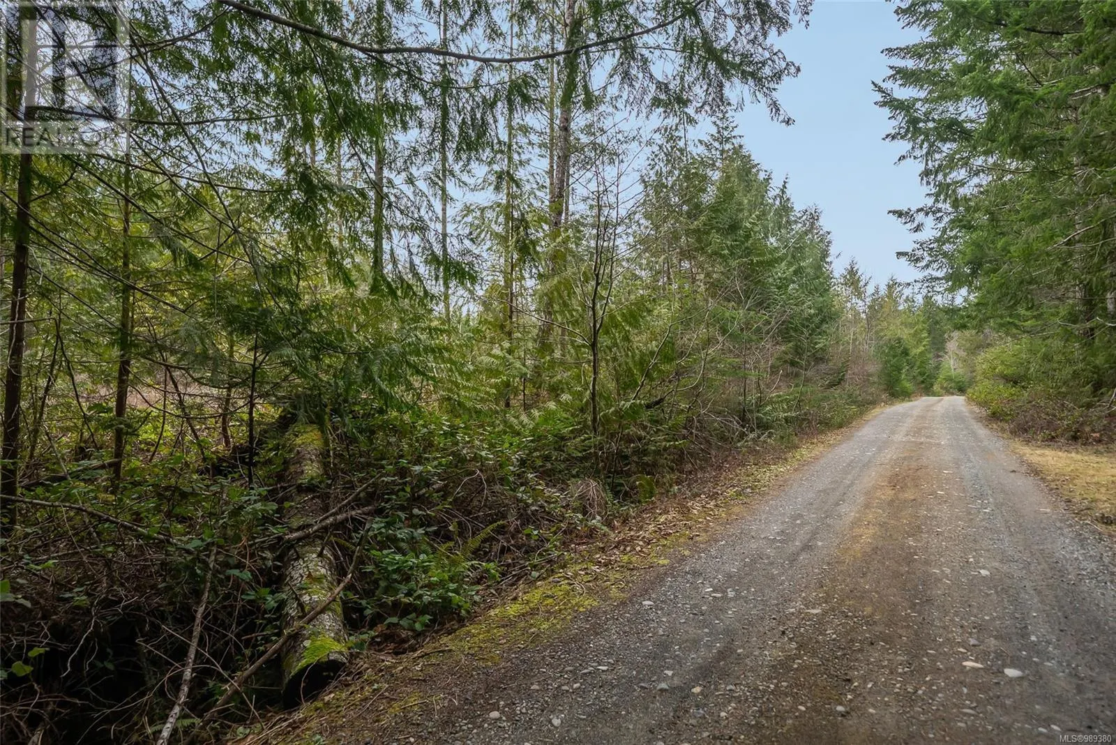 815 Spider Lake Rd