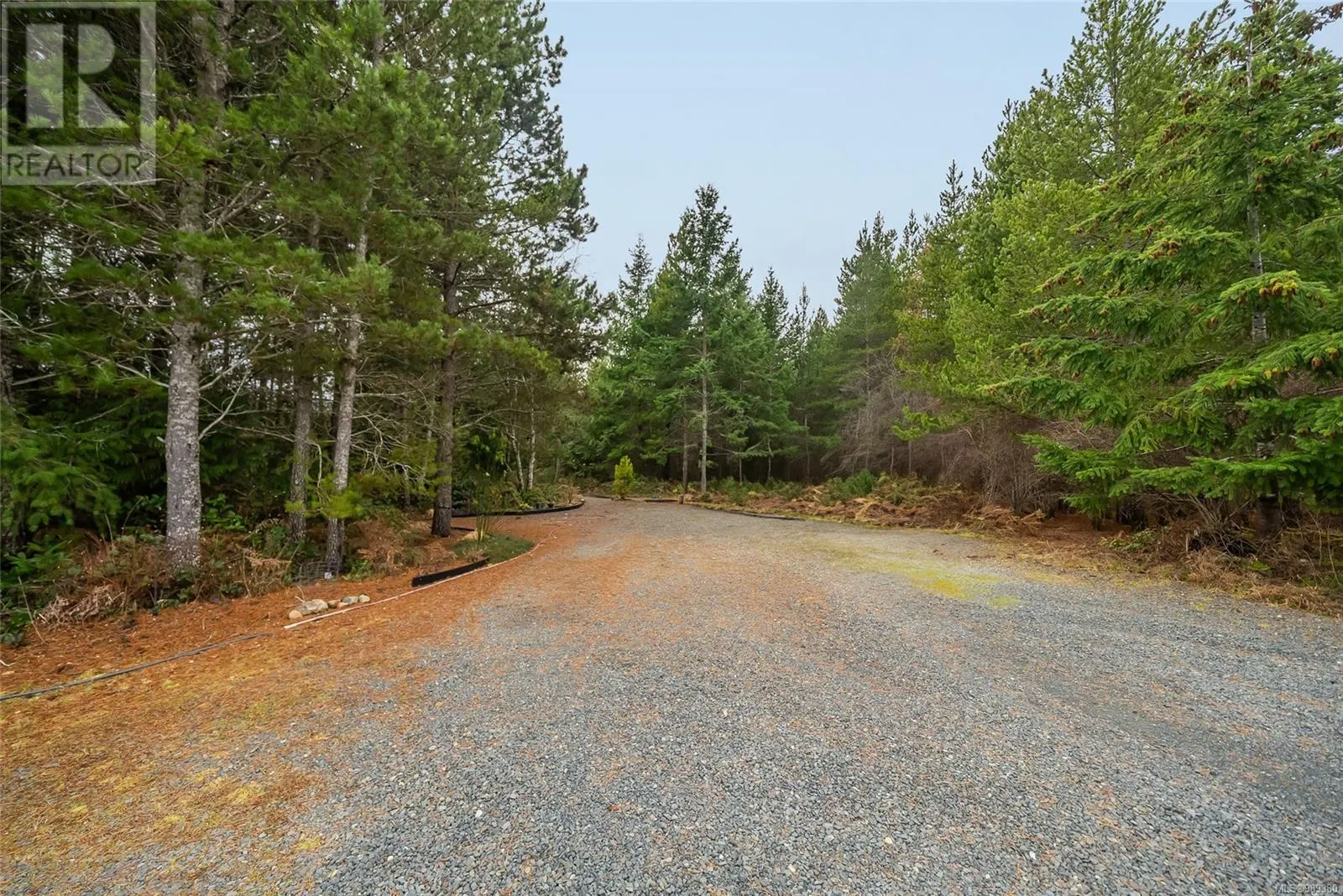 815 Spider Lake Rd