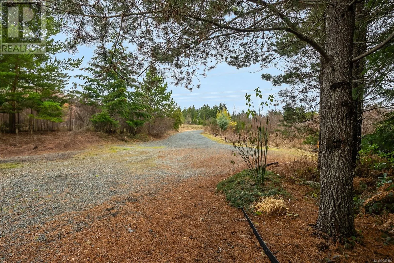 815 Spider Lake Rd