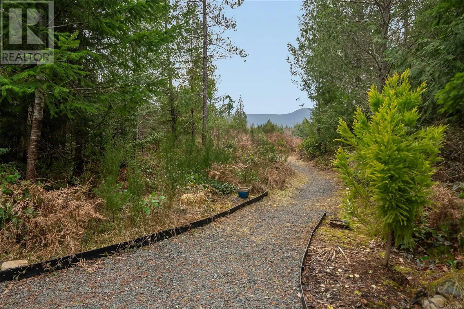 815 Spider Lake Rd