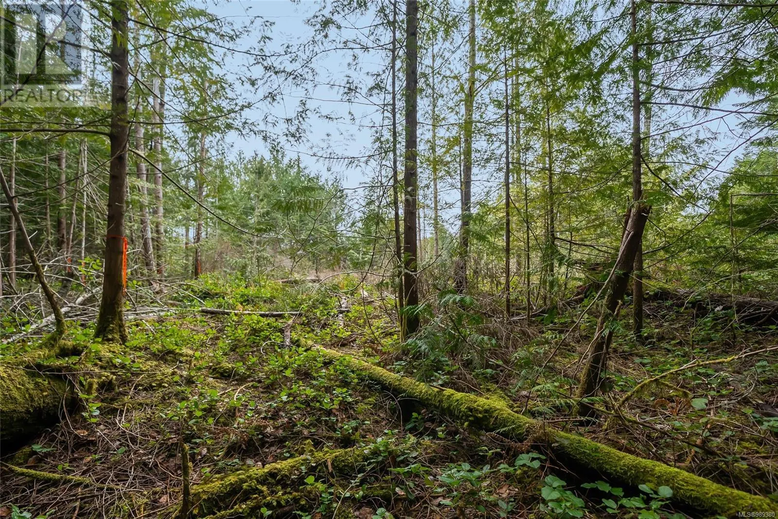815 Spider Lake Rd