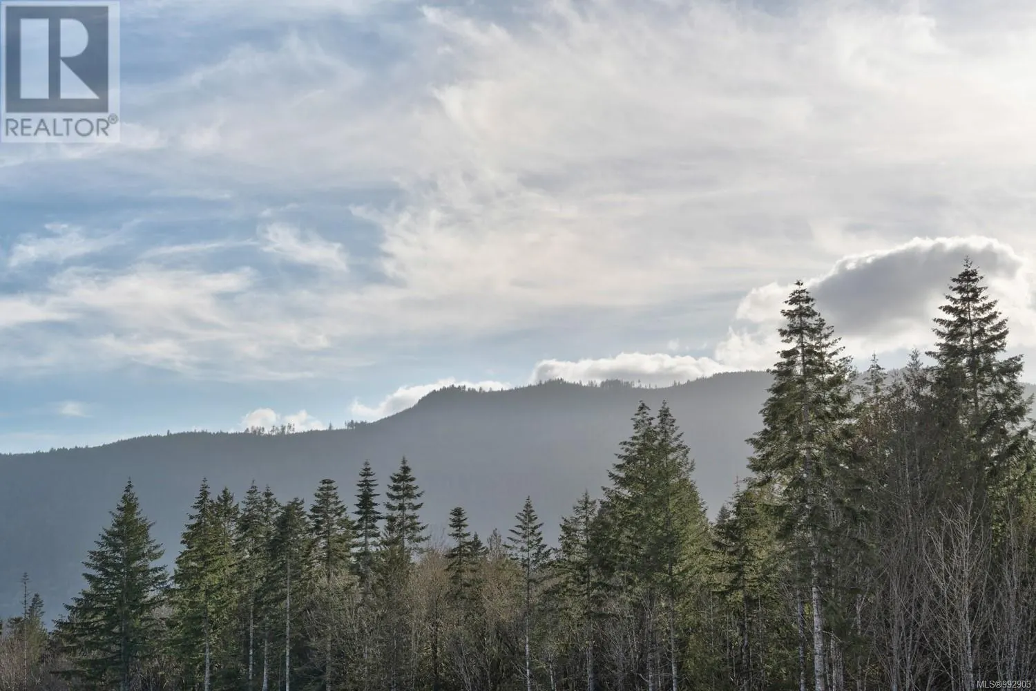110 3499 Henry Rd