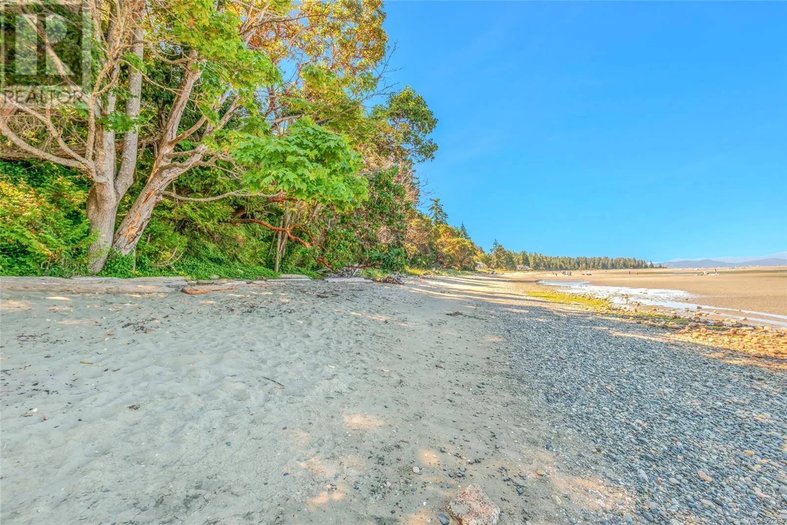 309 1165 Resort Dr