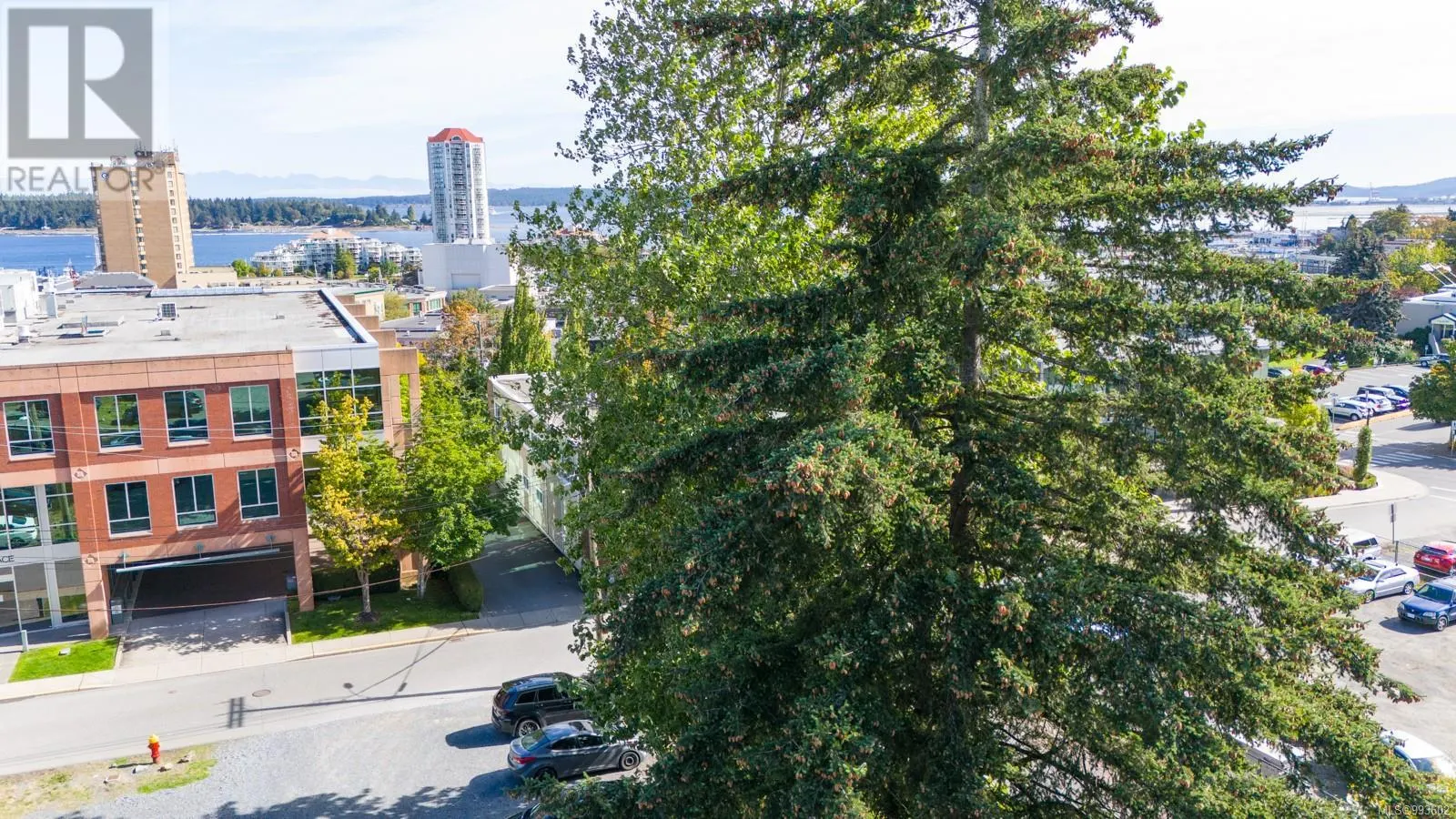 341 Robson St