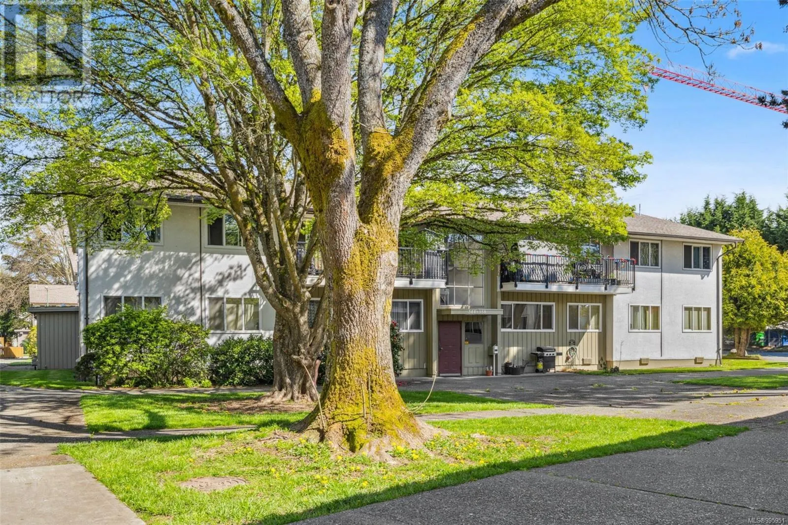 356 Burnside Rd W