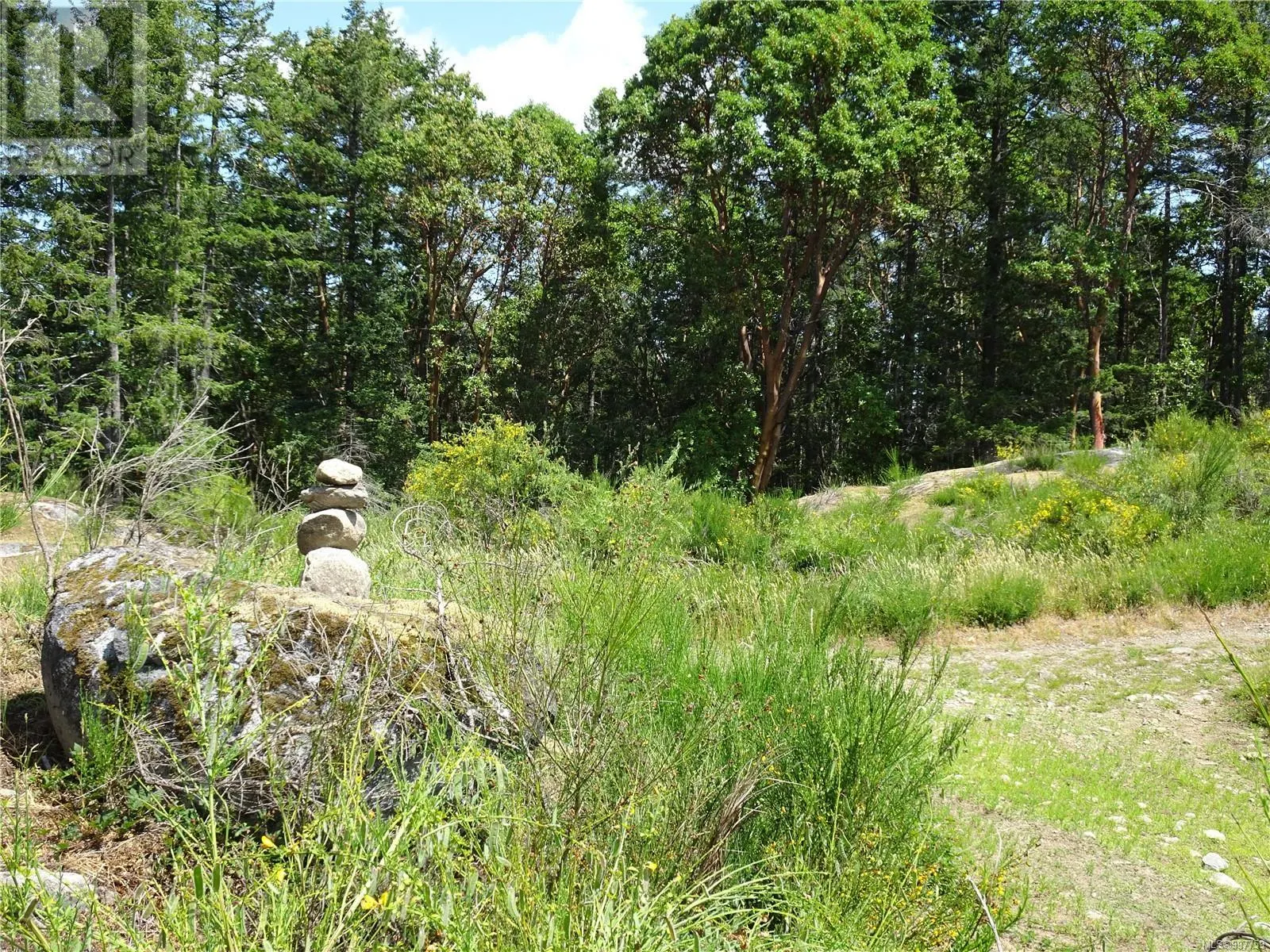 LT5 Hunter Way