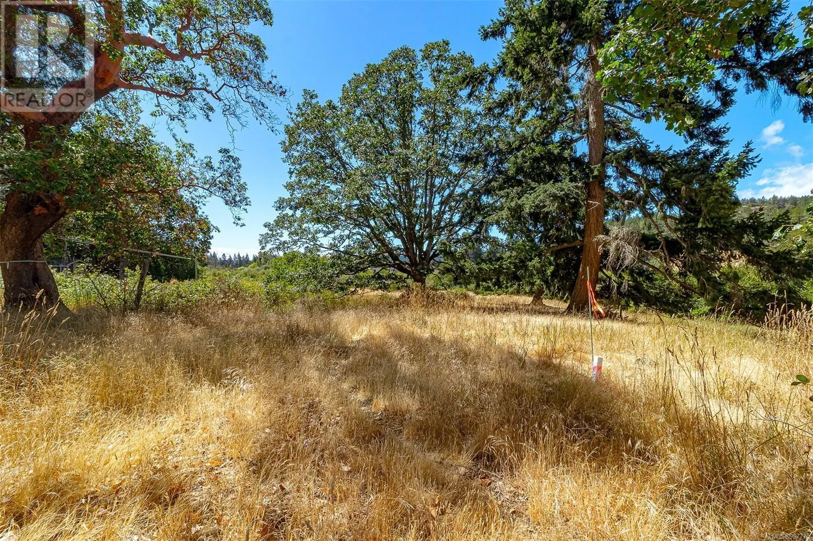 3158 Glen Lake Rd