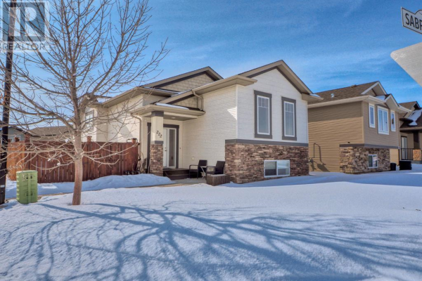 222 Sabre Close, Springbrook