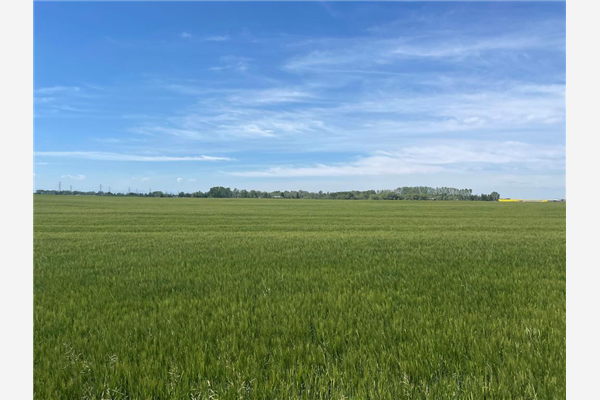 Range Rd 275, Rural Rocky View County