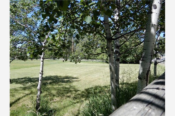32 Oak Avenue SE, Okotoks