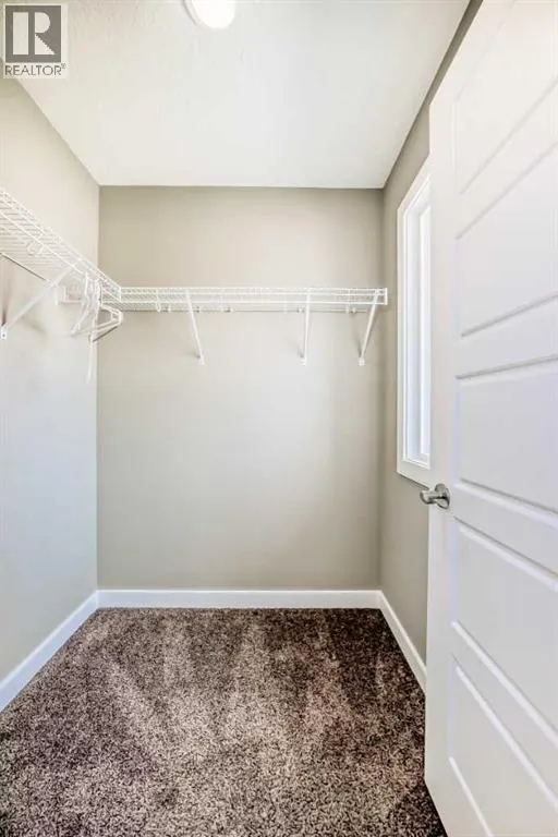 416 Legacy View SE