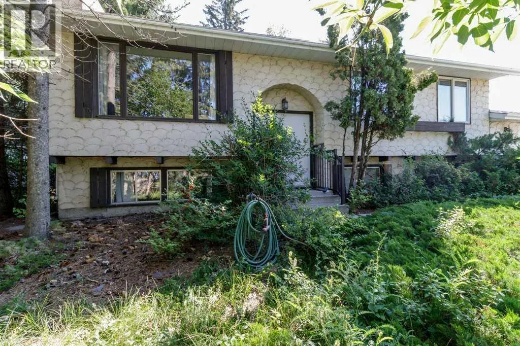 49 Pamely Avenue