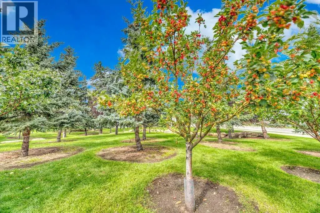 1313, 1000 Somervale Court SW