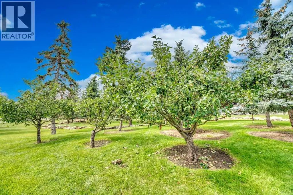 1313, 1000 Somervale Court SW