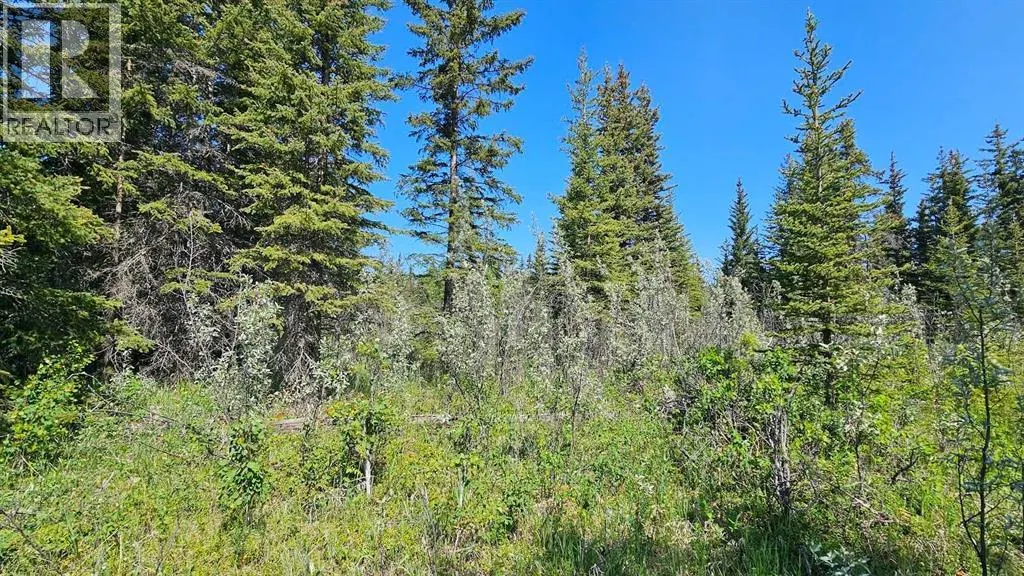 11, 34364 Range Road 42