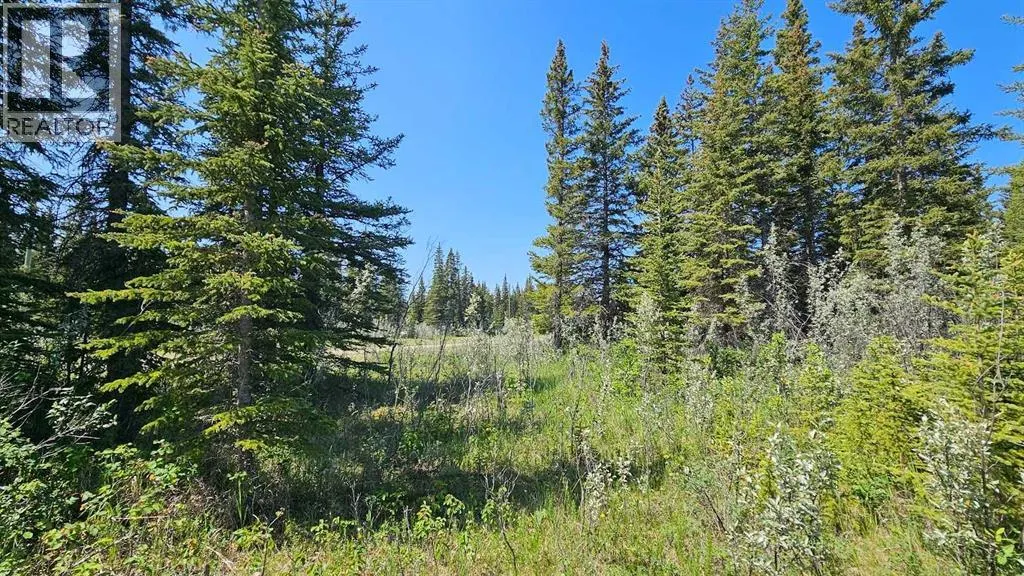 11, 34364 Range Road 42