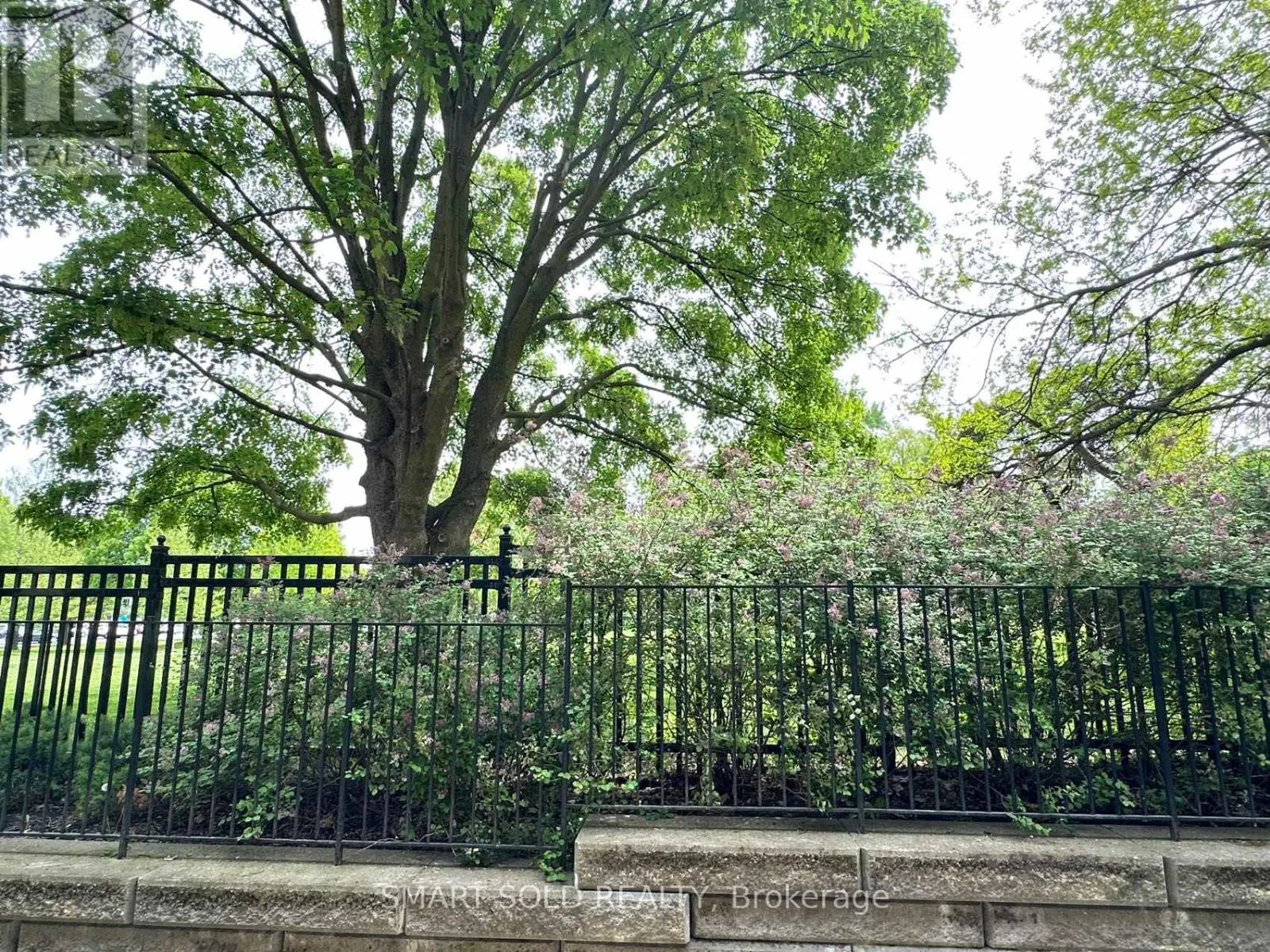 3 - 10 HARGRAVE LANE