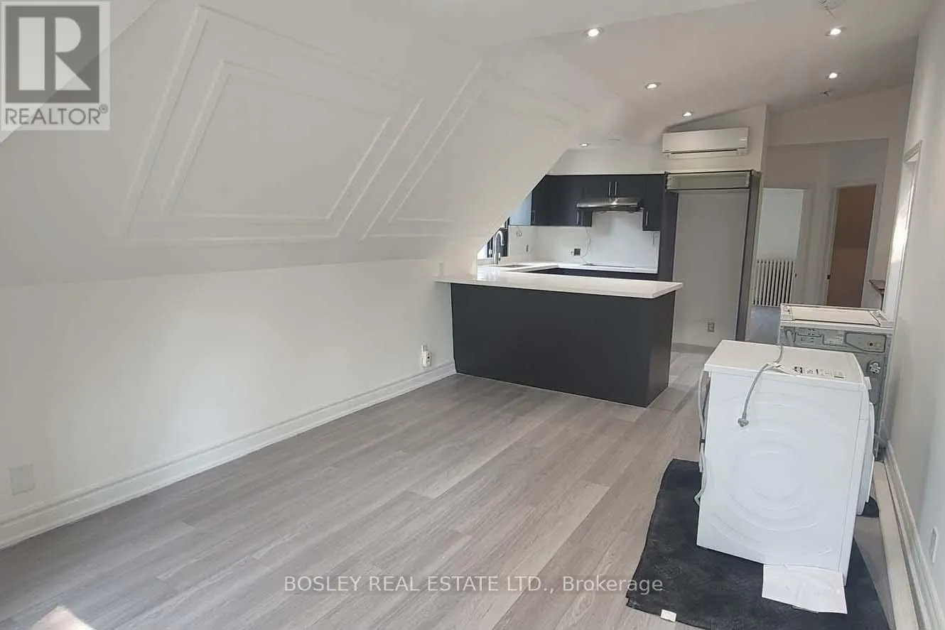 3 - 166 SPADINA ROAD