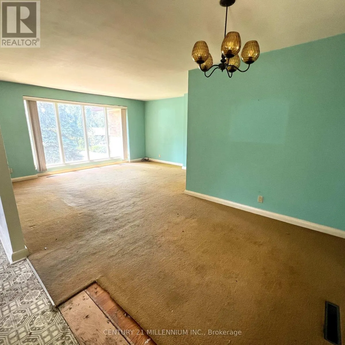 171 COTTONWOOD DRIVE