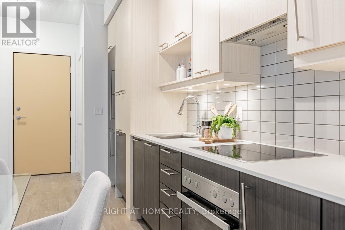 #507 -30 NELSON ST, #507