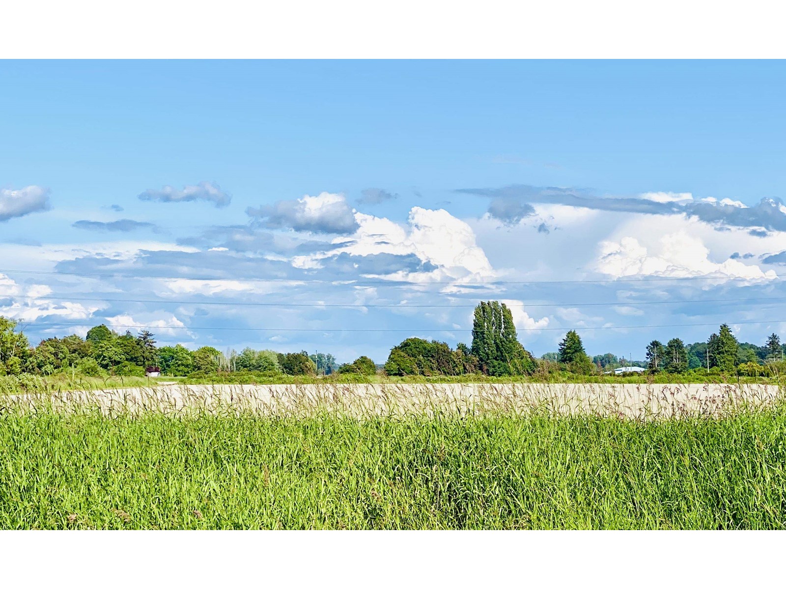 Listing C8020768 - Large Photo # 1