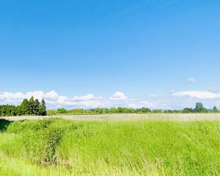 Listing C8020768 - Large Photo # 4