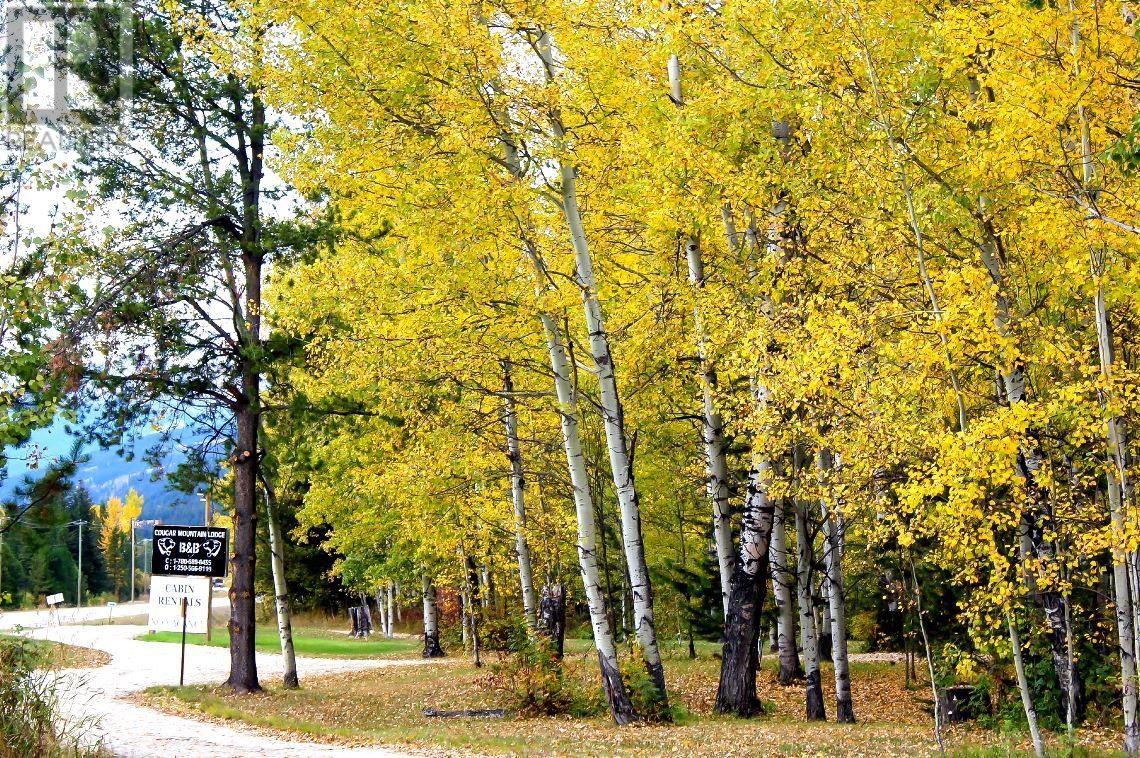 Listing C8050235 - Large Photo # 5