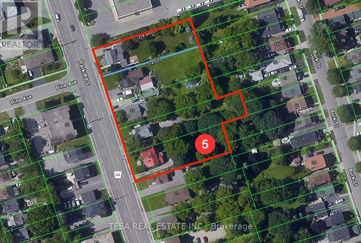 65 PARK ROAD S