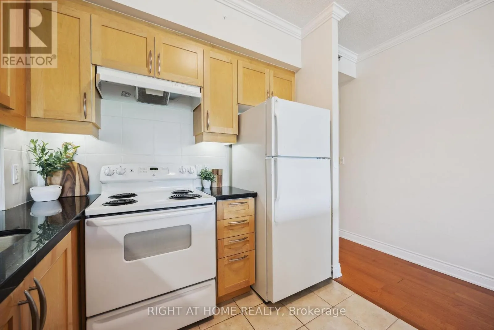 205 - 171 SHANLY STREET, #205