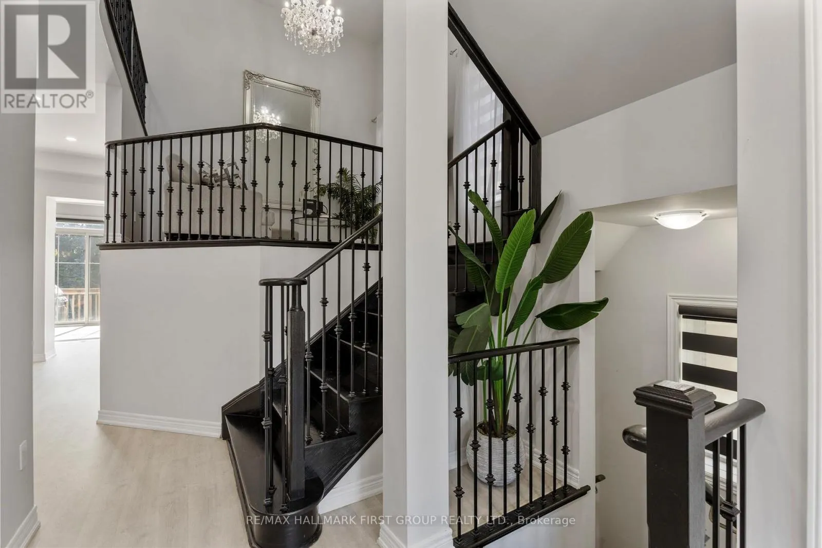 133 AUCKLAND DRIVE