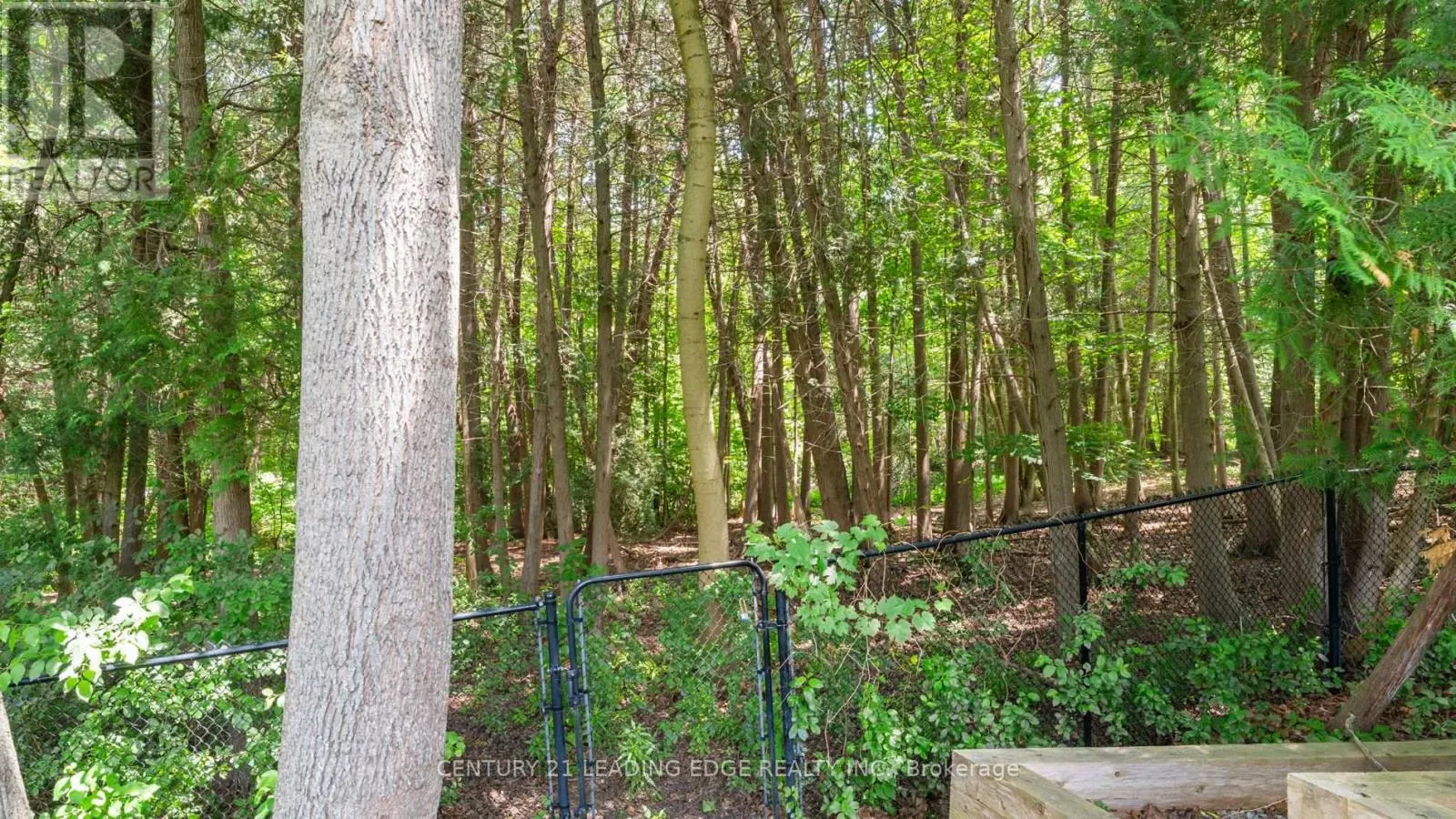 3295 TOOLEY ROAD