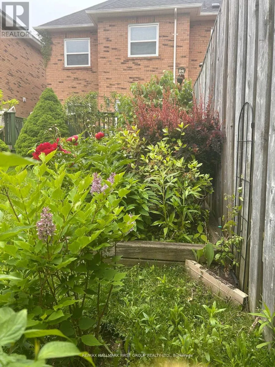 74 DOOLEY CRESCENT