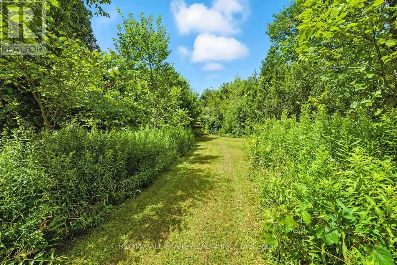 8287 ALLIN ROAD