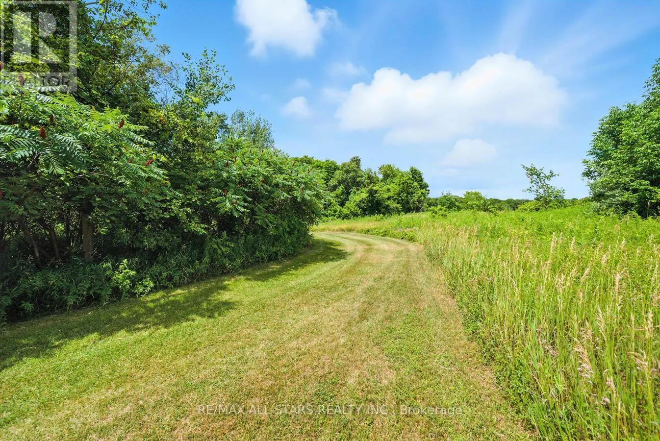 8287 ALLIN ROAD