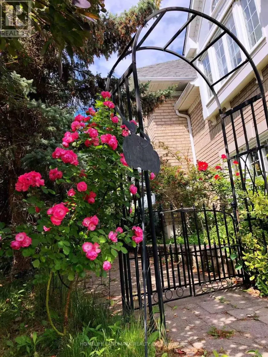 24 TODD ROAD