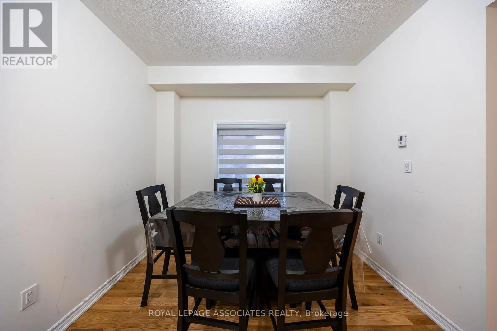 2529 ATHENA PATH